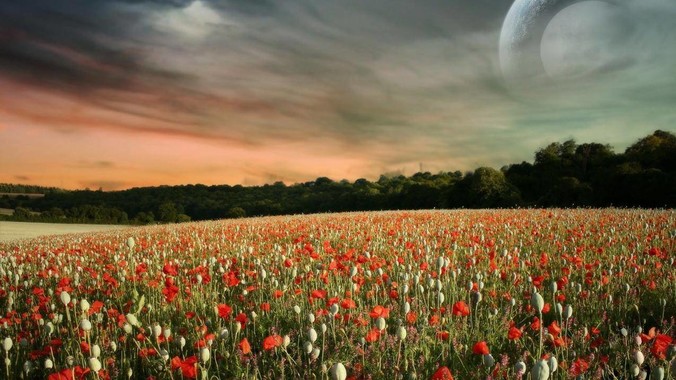 谷歌推出 Gemini 2.5 Flash-Lite 预览版本,哪些亮点值得关注?实际体验如何?